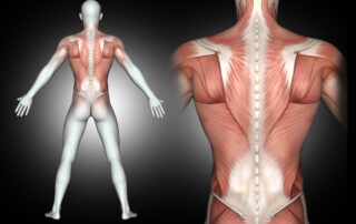 dolor de espalda alta y tono muscular